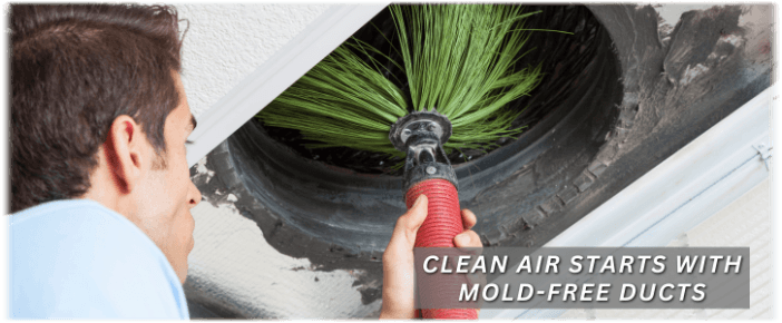 Air Duct Mold Removal in Phoenix